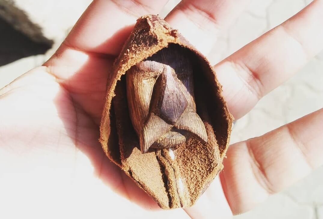 Aksesoris berbentuk mungil ini tidak hanya memanfaatkan limbah kayu saja, tetapi juga limbah kulit